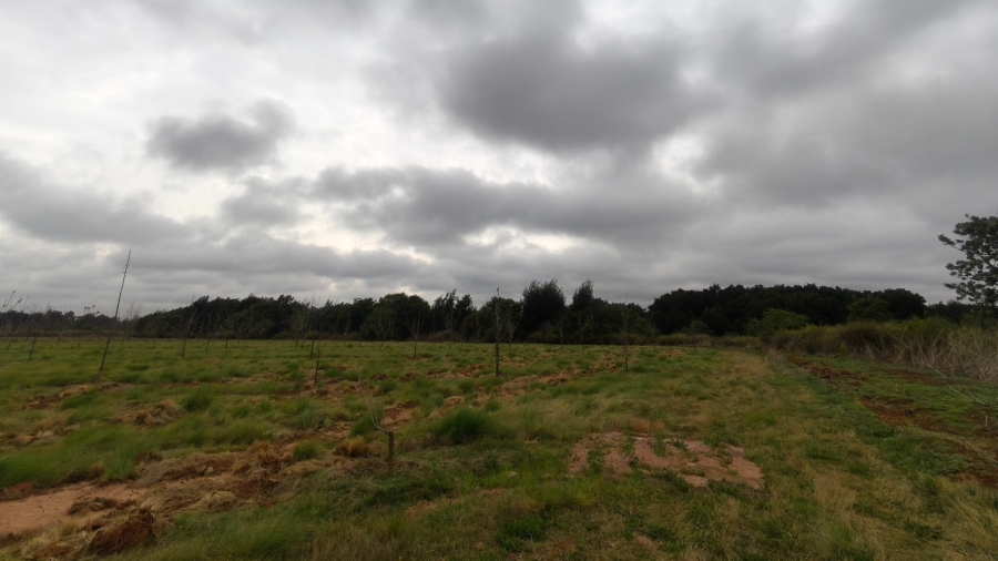 0 Bedroom Property for Sale in Koster North West